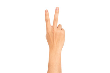 Obraz premium Hand isolated on white background.