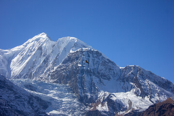 Naklejka premium A view of the snowy peaks of the Annapurna massif, above which the Himalayan vulture circles.