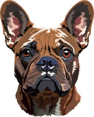 Cute brown French Bulldog portrait, isolated on white background. Vector illustration perfect for pet-related designs, greeting cards, and children's books.eps