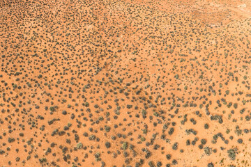 Aerial view of arid desert landscape with shrubs in Utah, USA