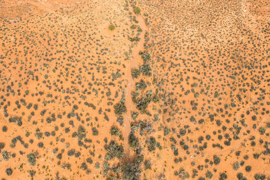 Aerial view of a desert trail and vegetation in Utah, USA