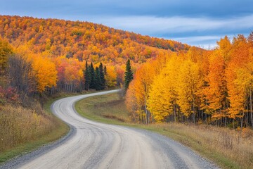 Fototapeta premium Dirt road lined with vibrant fall foliage, colorful autumn trees.