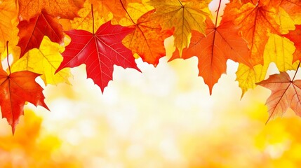 Fototapeta premium Vibrant autumn leaves in warm hues, creating seasonal background.