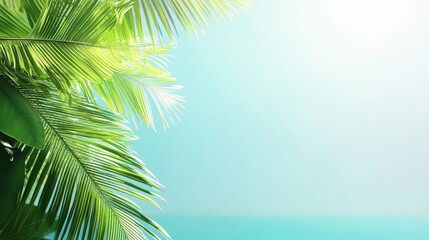 Fototapeta premium Tropical beach with lush green palm trees, isolated to showcase natural beauty