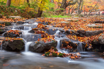 Autumn scenery of Seonunsa Valley, Gochang-gun, Jeollabuk-do, Korea colored with autumn leaves