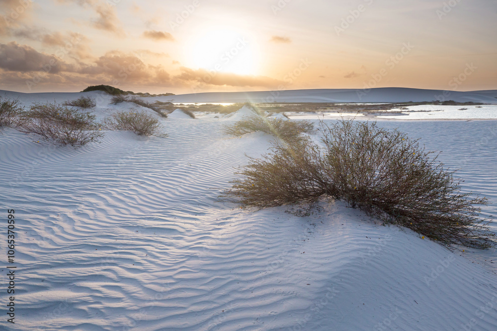 Poster Dunes in Brazil