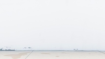 A blank white concrete wall provides a clean and minimalist background, concrete