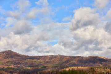 Landscape with burnt trees following the forest fires in Portugal in September 2024, Limit Edge...