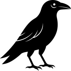 Obraz premium Crow Design ! Bird Design !