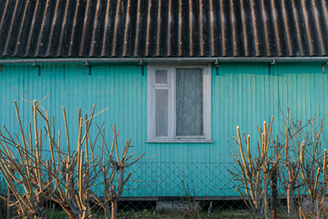 A blue-painted wooden house wall featuring a window with a wooden frame, surrounded by freshly...