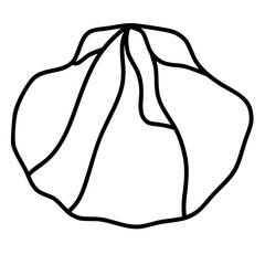 scallop ocean animal doodle 