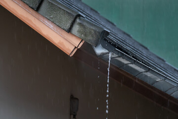 Rain bomb. Clogged rain gutter, dirty roof gutter, with wet fallen leaves.