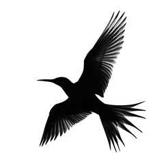 Fototapeta premium Dynamic Silhouette of Bird in Flight