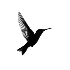 Obraz premium Dynamic Silhouette of Bird in Flight