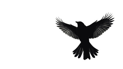 Fototapeta premium Silhouette of a Bird in Flight Over a Clear Sky