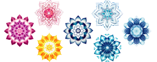  set of decorative mandala flowers on transparent background