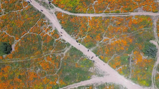 Aerial video over the blooming fields in Perris United States