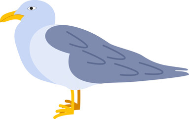 Obraz premium Posing Blue Footed Booby