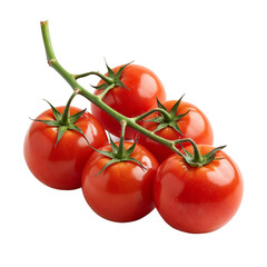 Fresh ripe tomatoes on a vine with green leaves