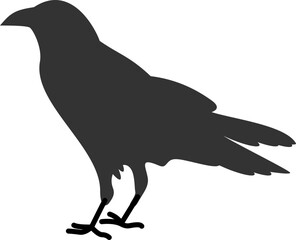 Fototapeta premium Crow Bird Illustration