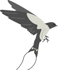 Obraz premium Cute swallow bird flying