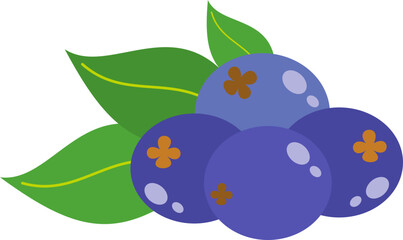 Blueberry Fruits Illustration