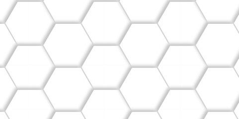 Obraz premium Abstract pattern with hexagonal white and gray technology line paper background. Hexagonal 3d vector grid tile and mosaic structure mess cell. white and gray hexagon honeycomb geometric copy space.
