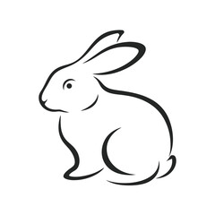 Cute Rabbit Outline Vector Illustration.