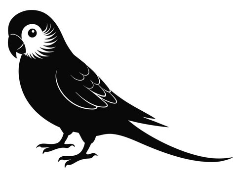 recommend clip art: Vector budgie silhouette black illustration on a white background