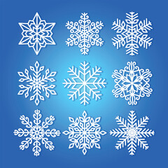 Winter set of white snowflakes located on background, crystal element of winter snowflakes
