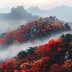 Fototapeta premium A misty autumn morning in South Korea countryside, with layers of red, orange,