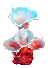 3D Rendering Clathrata Coral on White © photosvac