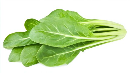 Fresh green lettuce leaves with crisp texture and vibrant color.
