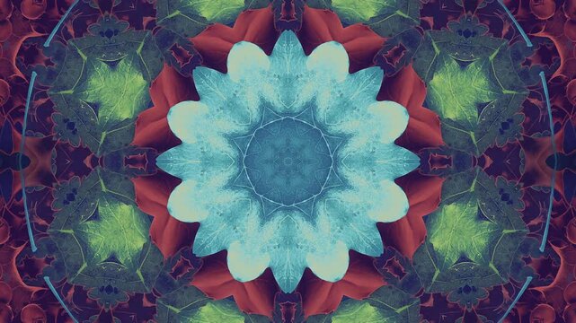 A beautiful background of seasonal autumn and winter leaves and foliage in an animated kaleidoscopic pattern.