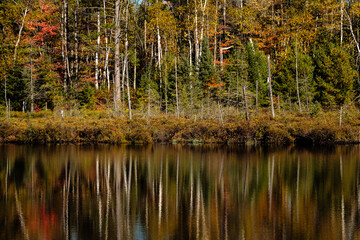 Fototapeta premium Northern Wisconsin autumn colors reflect off small bog lake near Conover, Wisconsin