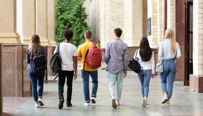 Fototapeta premium Group of students walking in college campus after classes, back view