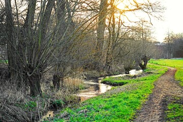 Bachlauf im Fr&uuml;hling