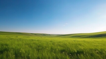 Obraz premium Lush Green Pastures Under Clear Summer Sky