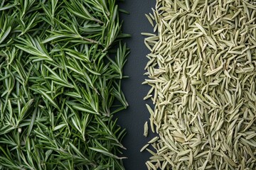 Close-up of fresh rosemary sprigs and dried rosemary contrasting in texture and color on a dark surface, capturing the essence of culinary diversity and nature.