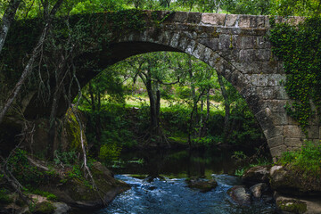 Fototapeta premium A serene stone arch bridge covered in ivy stands over a tranquil forest stream, surrounded by lush greenery and trees, creating an enchanting, peaceful atmosphere in the midst of nature