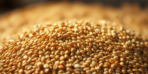 Obraz premium A Close Up View of a Pile of Golden Grains, Showing the Detailed Texture and Subtle Variations in Color and Shape