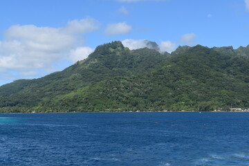 Fototapeta premium The stunning beaches and green lush landscapes on Moorea Island in French Polynesia, South Pacific 