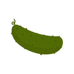cucumber vegetable flat design vector illustration. organic icon isolated on white background