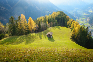 Eine kleine Hütte auf einer herbstlichen Waldlichtung