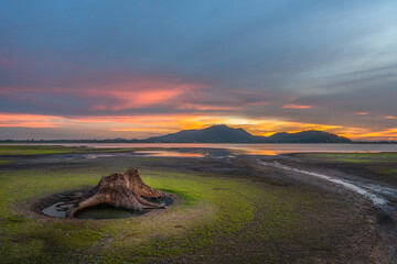 dead stumps in reservoirs and mountains 