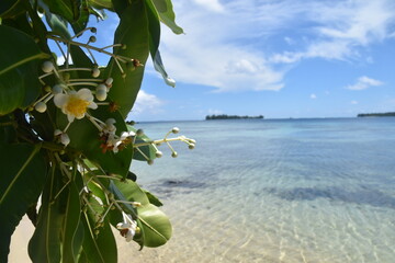 The white sand beaches and green backdrop on Bora Bora, French Polynesia