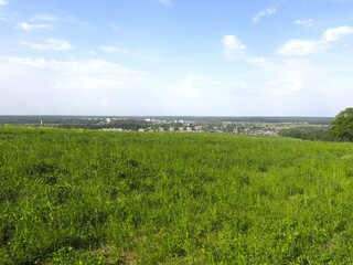 summer field with a view of distant buildings