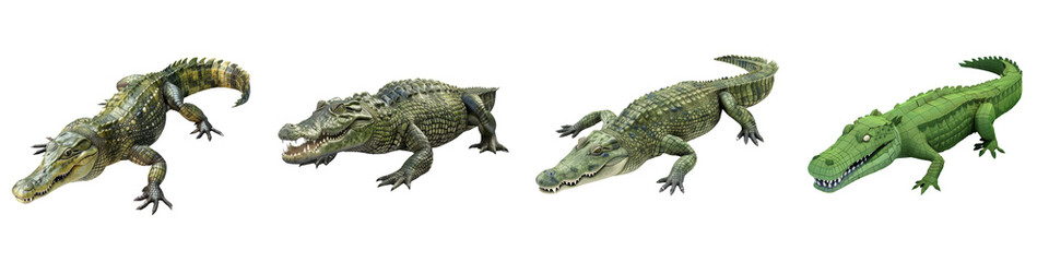 Fototapeta premium Four species of crocodiles displayed on a white isolated background.