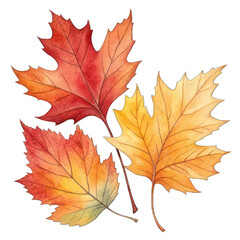 Obraz premium Colorful Autumn Leaves Showcasing Shades of Orange and Red Against a White Background