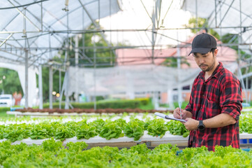 Asian farmer woman working at salad farm,Female asia Growing vegetables for a wholesale business in the fresh market